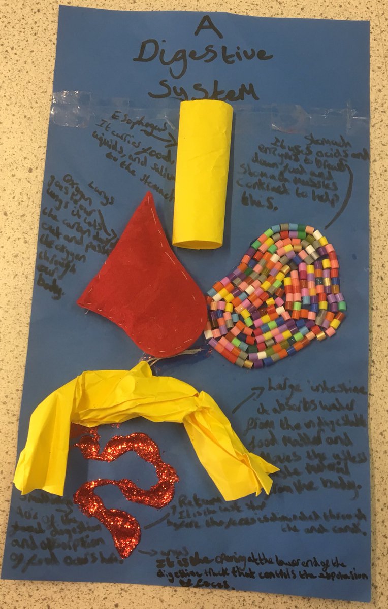 ScienceKJAR's tweet photo. #Digestion models: Yr 7 extended OSL creativity and scientific thinking to the fore #awesomemodels https://t.co/VnQIbGkaGc