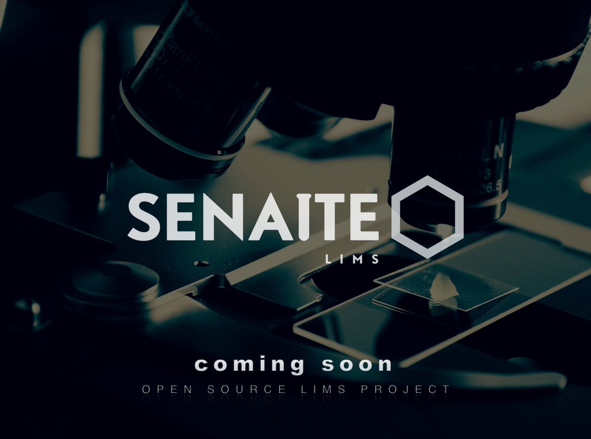 senaitelims tweet media