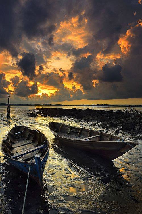 Mahesh Bhatt tweet media