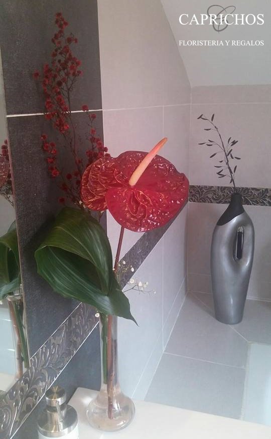 florescapricho's tweet photo. Flor de anthurium natural, ideal para la decoración del hogar. Puedes encontrarlas en #FloristeriaYRegalosCaprichos #Parla #Floristerias #Flores para el #hogar. https://t.co/6g0M6Dqp2F