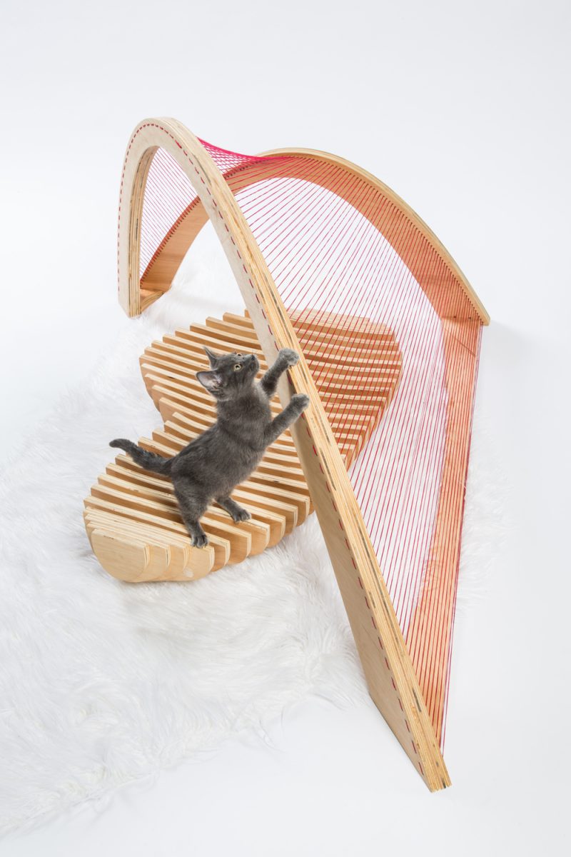 lauranovom's tweet photo. #architectsforanimals, refugios de #diseño para #gatos sin hogar. @FixNation. Con @experimenta_es. Más en https://t.co/jjeIqMdmLL https://t.co/8qGjXjo3fO