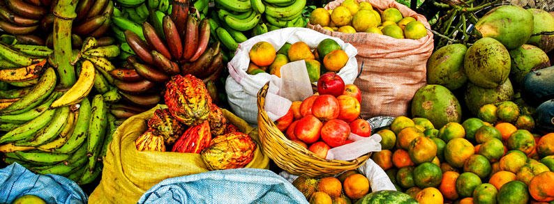 ITE_Food's tweet photo. #Poland &amp; #SouthAmerica are heating up their #foodanddrink trade https://t.co/SSzUvSPvDw https://t.co/jTouUjlkQ8
