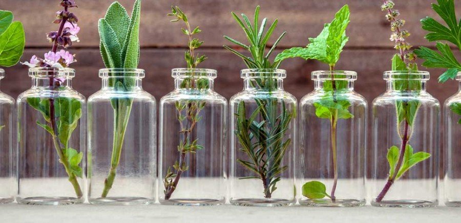 TraMammeToscana's tweet photo. Conoscere e utilizzare al meglio le erbe aromatiche. Dr.ssa Ornella Corona… https://t.co/GjjZH7gB0G https://t.co/k0BUJCMOMt