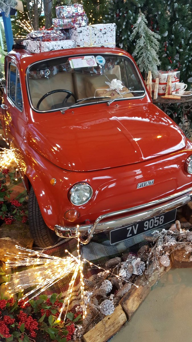 QSI_Courses's tweet photo. Fab #XmasDisplay in @BallyseedyGardn well done guys! https://t.co/ax7DDzBw9Q