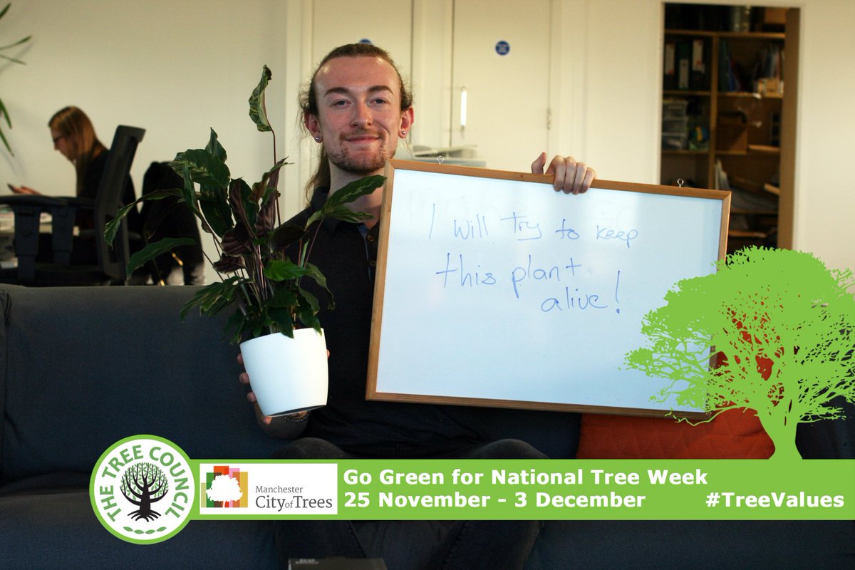 luctweeting's tweet photo. For #NationalTreeWeek, we're pledging to #GoGreen at work and at home with various eco-friendly initiatives.

How will you be getting involved this week? https://t.co/YkQ55w8wXH