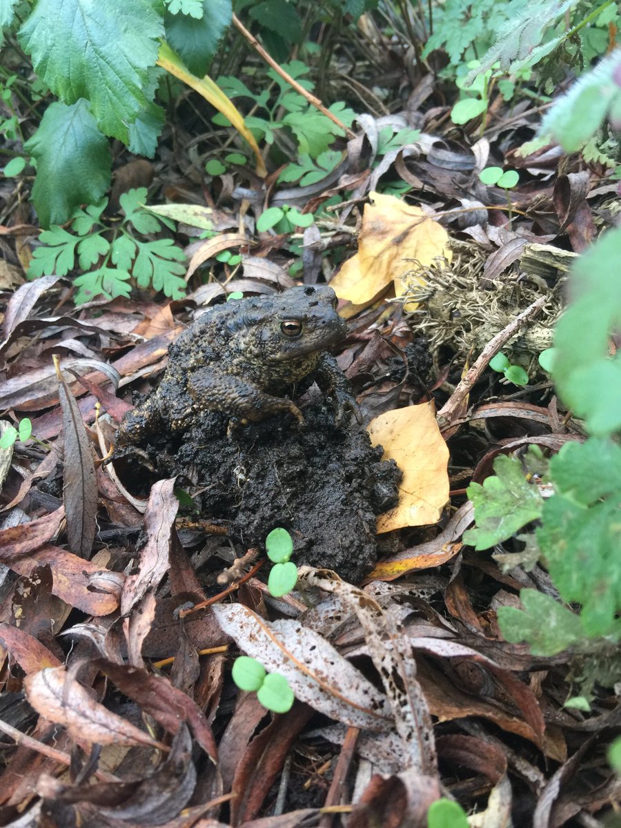 John Bennett tweet media