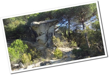 ClubOros's tweet photo. Falta 1 setmana,  per beneficiar-vos del descompte en la inscripció de:
1ª La Gola O-Free
Mapa Nou, La Gola (Dosrius), 
DIN 3, escala 1:10.000 i equidistància 5 m.
Per a gaudir de la Natura i de l’Orientació 
Per a més informació: https://t.co/8iCCzyRR4F https://t.co/zHpCHLkSms