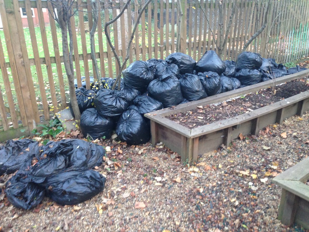 CollinghamGdns's tweet photo. Autumn leaves for days! These are just *some* of the bags of leaves now mulching down into #compost Great work gardening team for clearing those never-ending layers of multicoloured leaves :-) #mulching #autumn #teamwork #UrbanGardens #UrbanEcology #ForestSchool #colours #leaves https://t.co/ViMG2popha