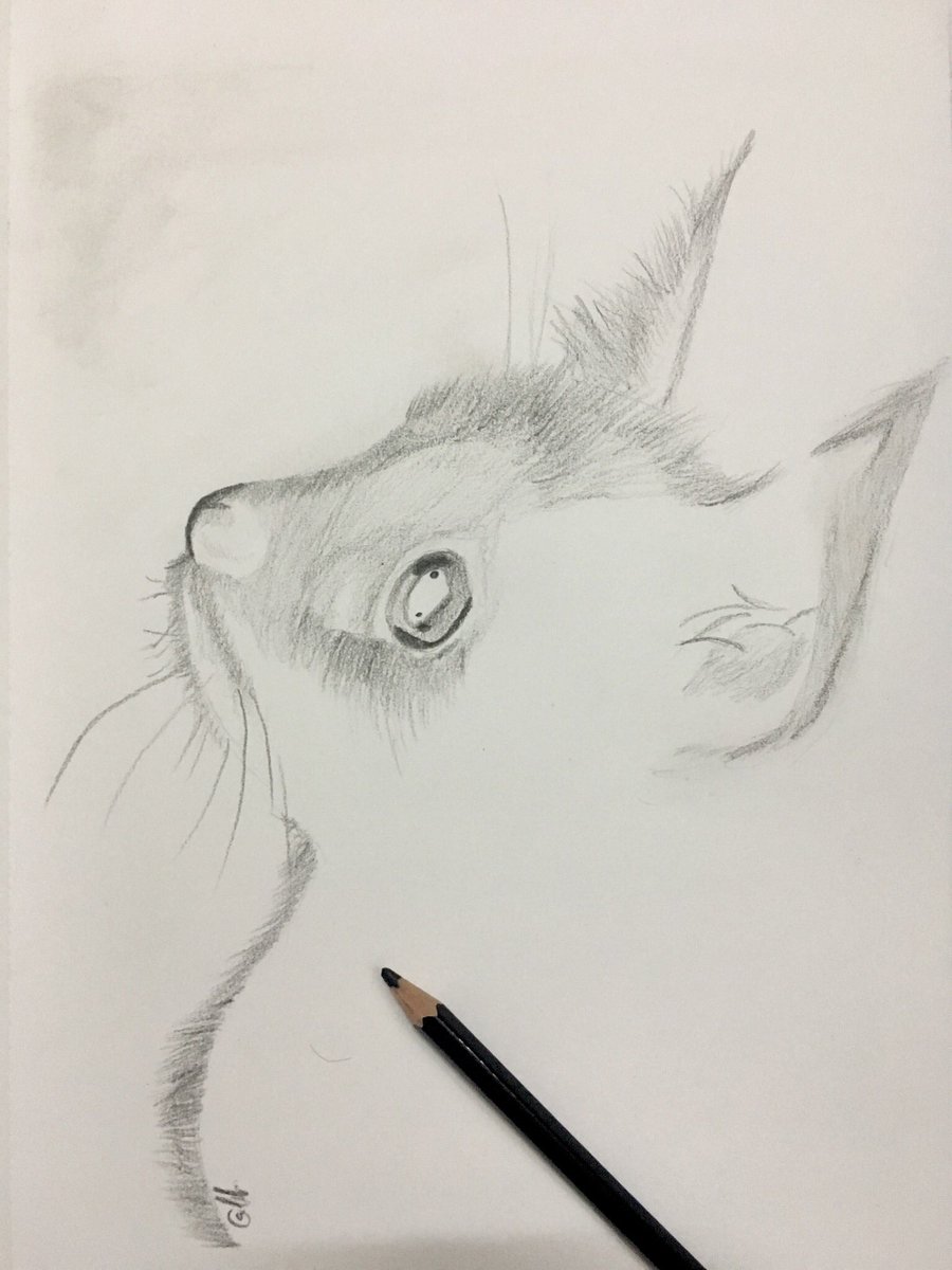 snowbolt_'s tweet image. Inverted cat // Before and after
Ps: simply use negative filter on the first pic and see the magic