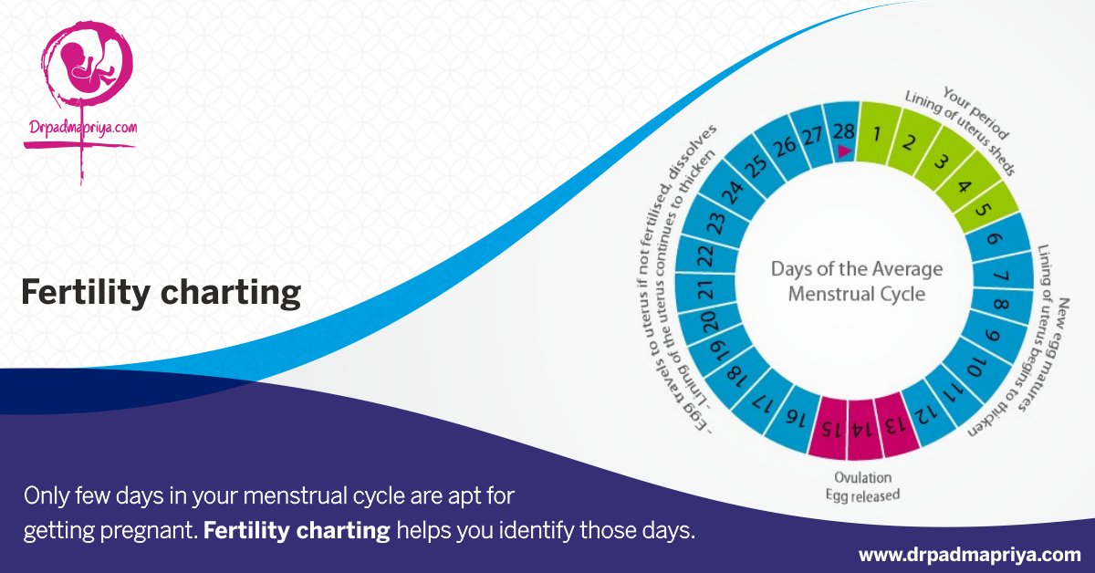 Perimenopause Bbt Charts