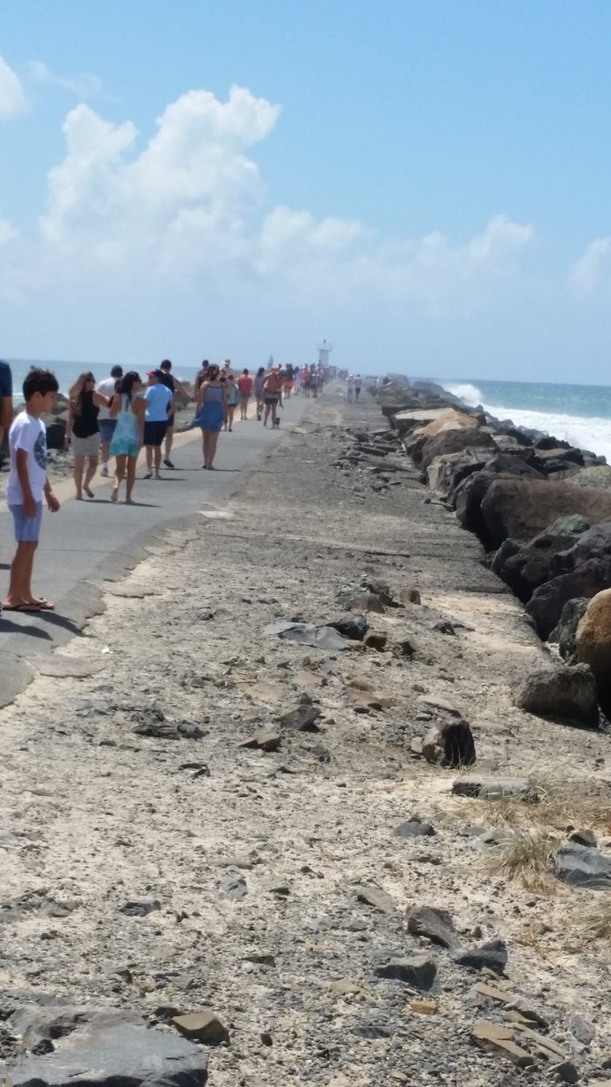 OzSheela's tweet photo. @SaveOurSpit #LNP don't mess with #TheSpitGC 
#PublicLand
#Community 
#3storeylimit 
#HandsOff 
#Environment https://t.co/G0JYrvRBfr