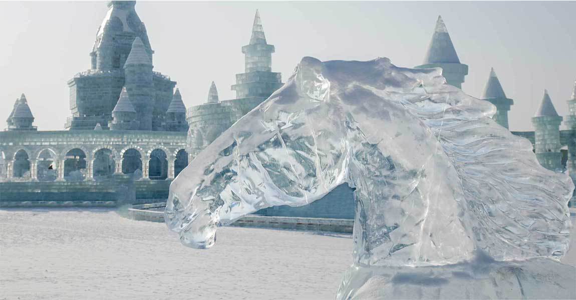 iceprom1's tweet photo. 28 Days until Christmas......For your party season we have it all in ice
Vodka luges 
Ice sculptures 
Crushed ice  
ice cubes

There's only one place to go https://t.co/MSnVPFYKrx 

#vodkaluges #icesulpture #icecubes #christmasparty #party #crushed https://t.co/N8X74f6IKs