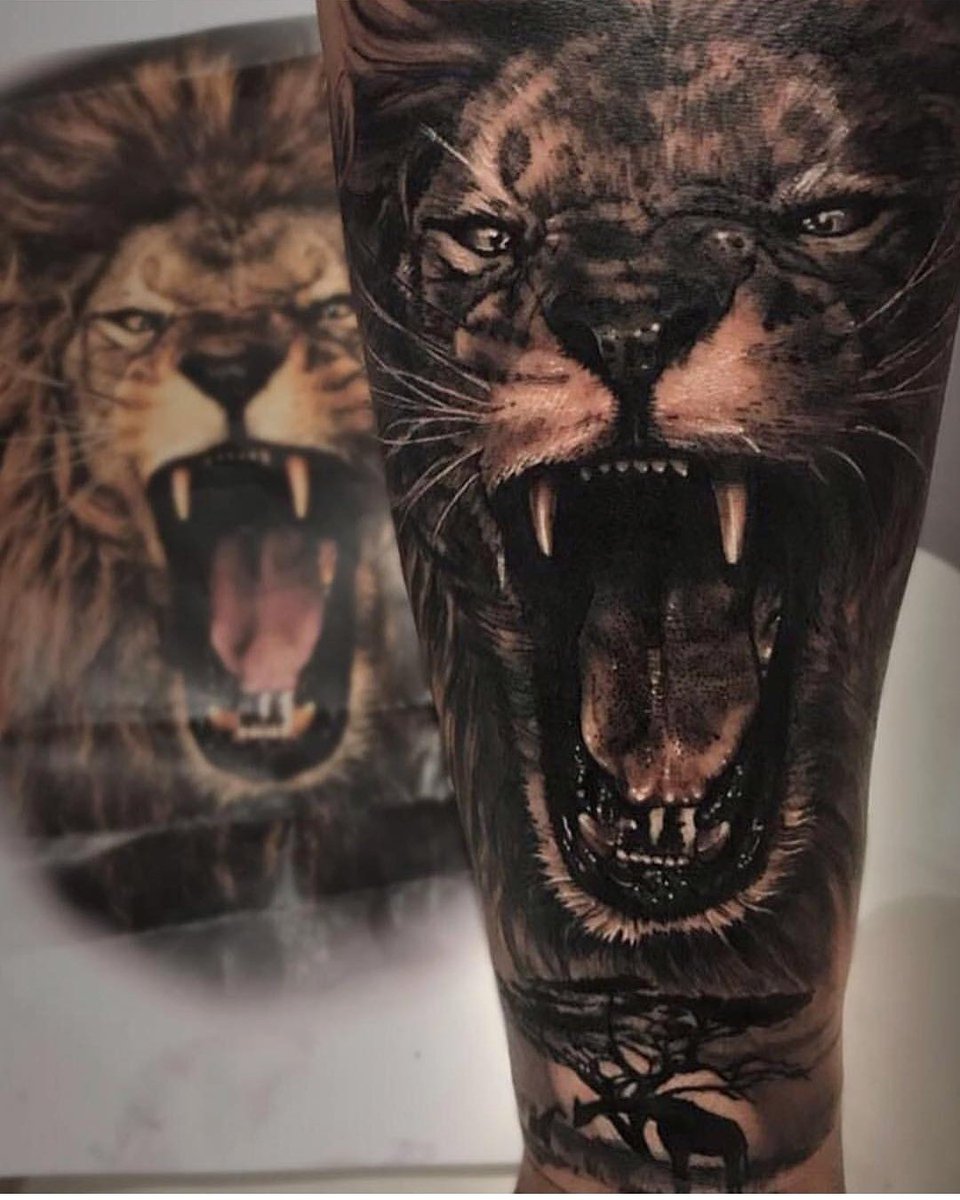 ExpertTattoo's tweet photo. #lion #liontattoo #ink #inked https://t.co/vyVilyLAwc