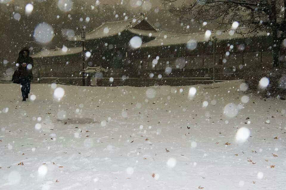 *인생의 세가지 진실*
1.인생에서 영원히
다시 오지 않는 것.
시간,말,기회
2.인생에서 누구나
항상 갖고 있어야 하는 것.
희망,평화,정직
3.인생에서 가장
고귀한 것.
사랑,친구,자신감