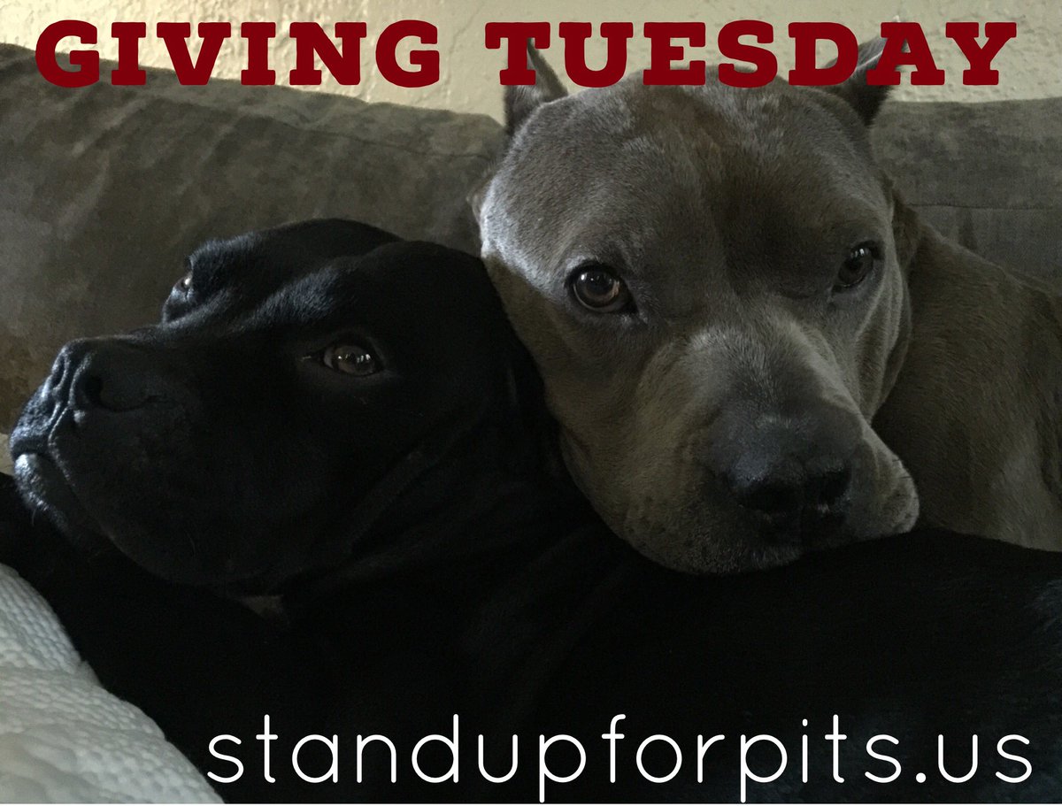 SUFPFoundation's tweet photo. Today is Giving Tuesday. Please consider making a tax deductible donation at standupforpits.us and help save lives.
#standupforpits #givingtuesday #charity #nonprofit #endabuse #endbsl #endogfighting #betheirvoice #angelforever https://t.co/u0bQIfwKGG