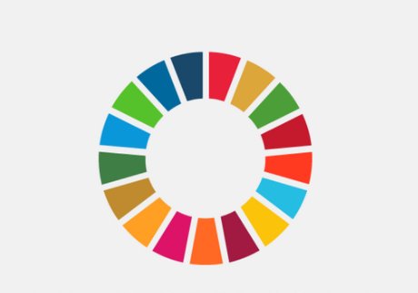 ASviSItalia's tweet photo. L’ASviS si è messa in gioco nel diffondere i messaggi #Agenda2030 con il Rapporto 2017. Da oggi è possibile scaricare le nuove Flashcard riassunto dei risultati del Rapporto, fatte di fotografie e diagrammi per ogni singolo Goal --> https://t.co/wjyD5Pcq1X https://t.co/INKByucFbx