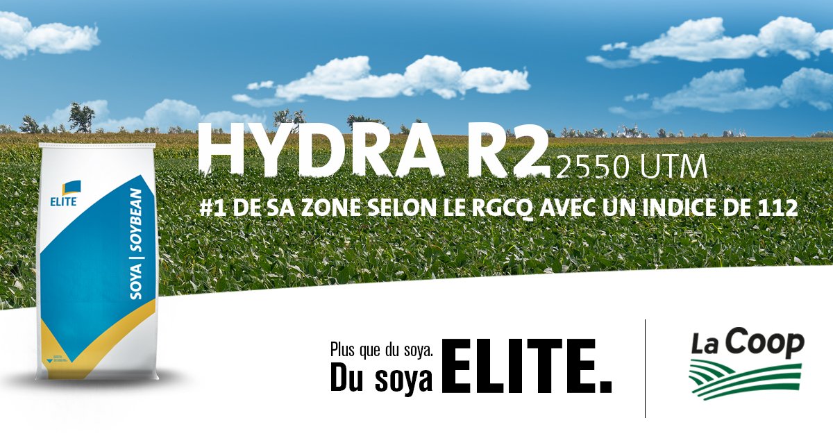 Le cultivar HYDRA R2 n’est pas seulement #1 de sa zone de maturité selon le RGCQ. Il possède aussi une excellente tenue et vigueur printanière. Définitivement à considérer pour 2018!
  bit.ly/2AqJS5u