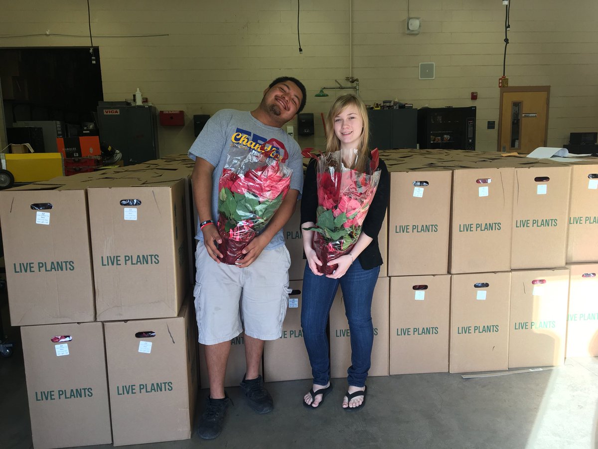 ffa_chandler's tweet photo. They’re here and better than ever! Come pick up your poinsettias today!! 

Shop will close at 6, so make sure you grab up the plants you sold before then! https://t.co/KEr3kmsRpw