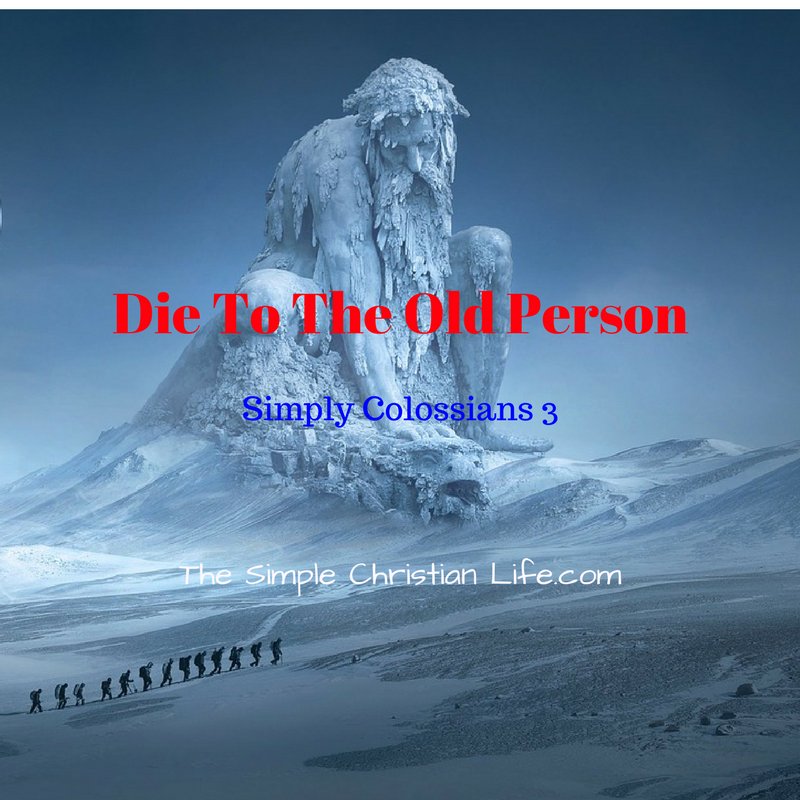 Die To The Old Person @ thesimplechristianlife.com/2gad  #ColossiansBibleStudy #1YearBibleReading