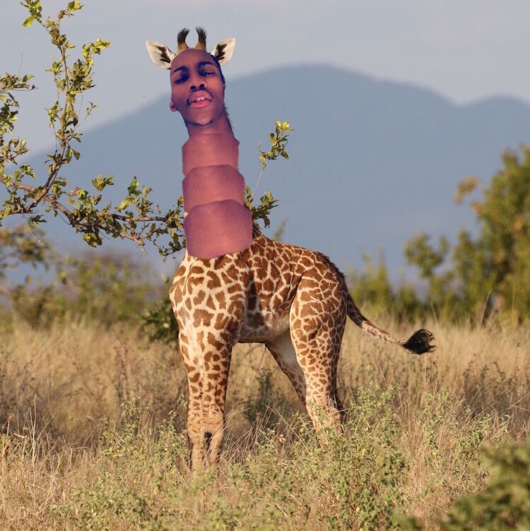 SamDarnold14 tweet media