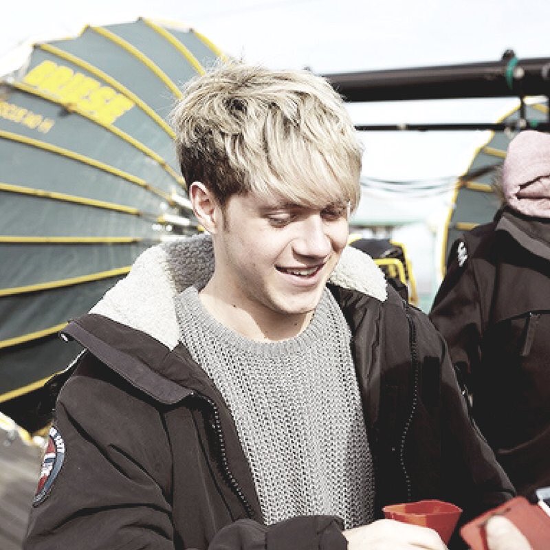 ubiquitousnjh's tweet photo. This was my favourite blonde hair style on Niall, I don’t care what you think https://t.co/IcRnfmTy0V