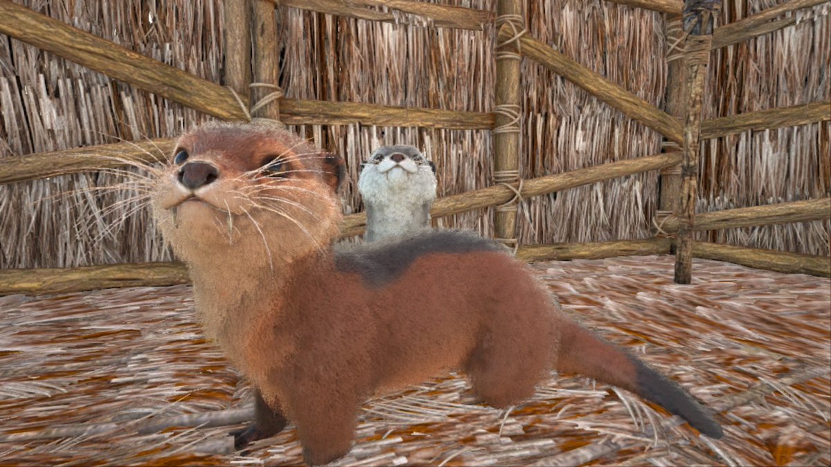 涼音 カワウソちゃん可愛い Ark アークサバイバル Ps4share T Co 7cjlnxxvh7 Twitter