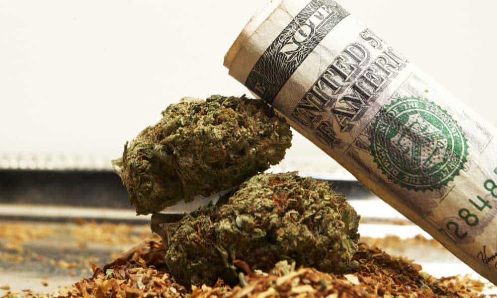 thrtechnologies's tweet photo. Pot Growers May Have To Pay Taxes On Crops Destroyed By Fires, Raids https://t.co/g6t590pXRl #Business #Ganjapreneurs #THRTech https://t.co/zKhjpWvvmF