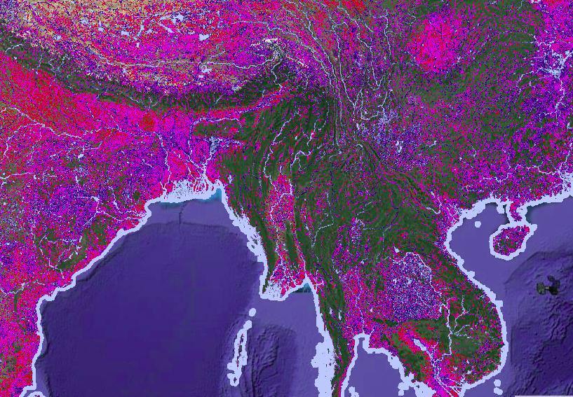 download proteasome inhibitors in