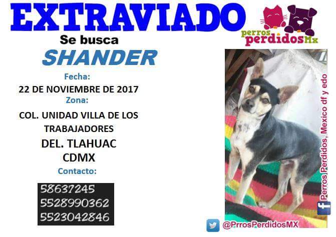 itzel_lo_ro's tweet photo. #SEBUSCA #SHANDER COL UNI #VILLADE LOSTRABAJADORES DEL #TLAHUAC @TlahuacRenace @tlahuac @tlahuacds @sebuscaCdMx https://t.co/z5NkCdDqeP