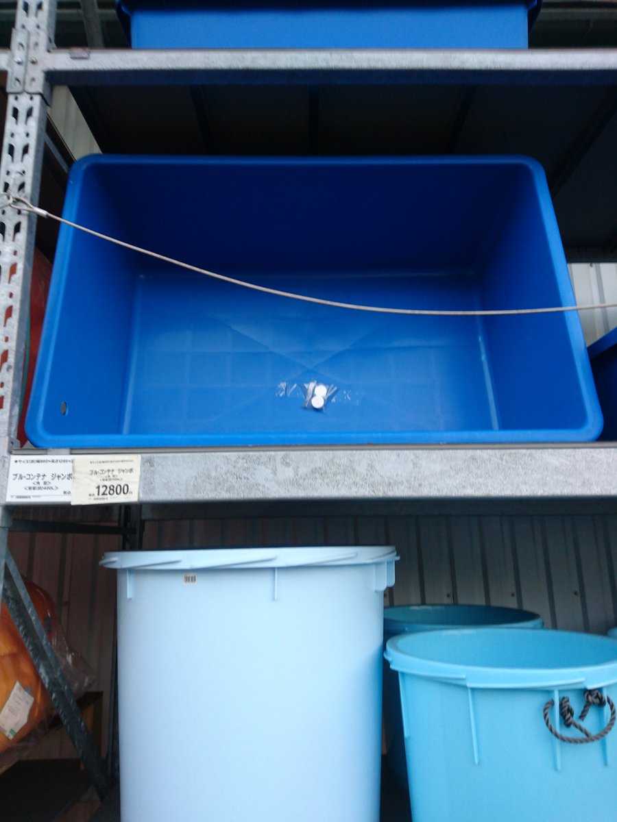 Jin V Twitter これ欲しいです 金魚 飼育容器 ブルコン400 400リットル 置場所 検討中 Jin V Twitter これ欲しいです 金魚 飼育容器 ブルコン400 400リットル 置場所 検討中