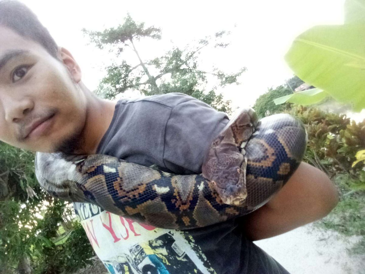 sham_adeyy's tweet photo. Me &amp; Max ..
#3Years
#Kelantanese
#Perakian
#28Nov2014
#28Nov2017
#Reptile
#Snake
#
#Aduhai ... https://t.co/4qzBRoUtBA