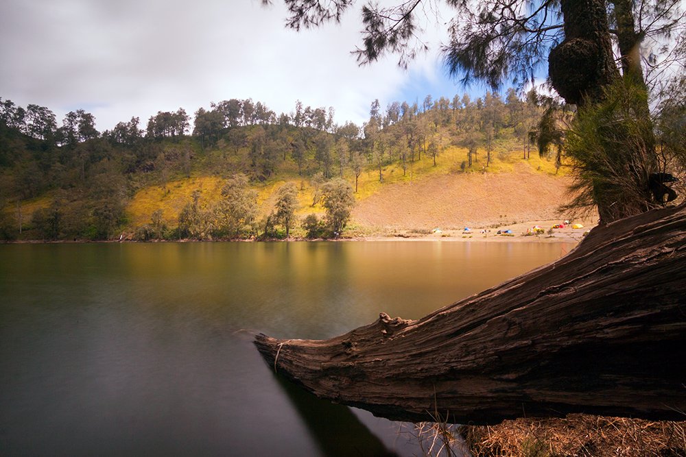 justlocalview's tweet photo. Dan betul kata teman, sekali mendaki gunung, dua tiga hari capeknya gak hilang-hilang.

#kumbolo #ranukumbolo 
#tnbts #semeru #gunungsemeru
#lumajang
#jawatimur 
#local_trip #local_guide #local_view https://t.co/We2nwHUunI