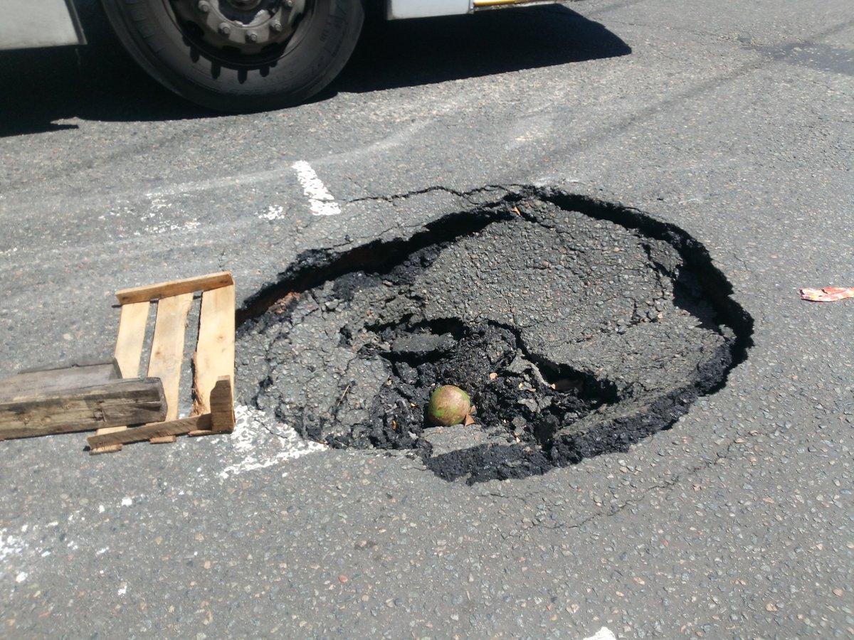 Never underestimate the power of a falling coconut #Drive #Brazil #YesPlease
