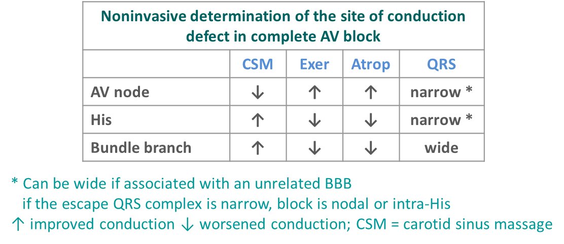 ECGcorner (@ecgcorner) on Twitter photo In conclusion, this case is an example of improving AV conduction with  carotid sinus massage in a patient with complete AV block 🤓
#electrocardiography #ECGlovers #FOAMed #ECG
ecgcorner.org/mod/lesson/vie… In conclusion, this case is an example of improving AV conduction with  carotid sinus massage in a patient with complete AV block 🤓
#electrocardiography #ECGlovers #FOAMed #ECG
ecgcorner.org/mod/lesson/vie…