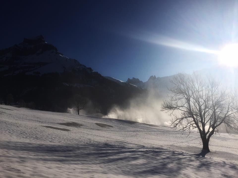 peakdate tweet picture
