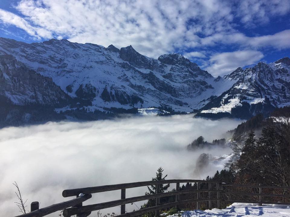peakdate tweet picture