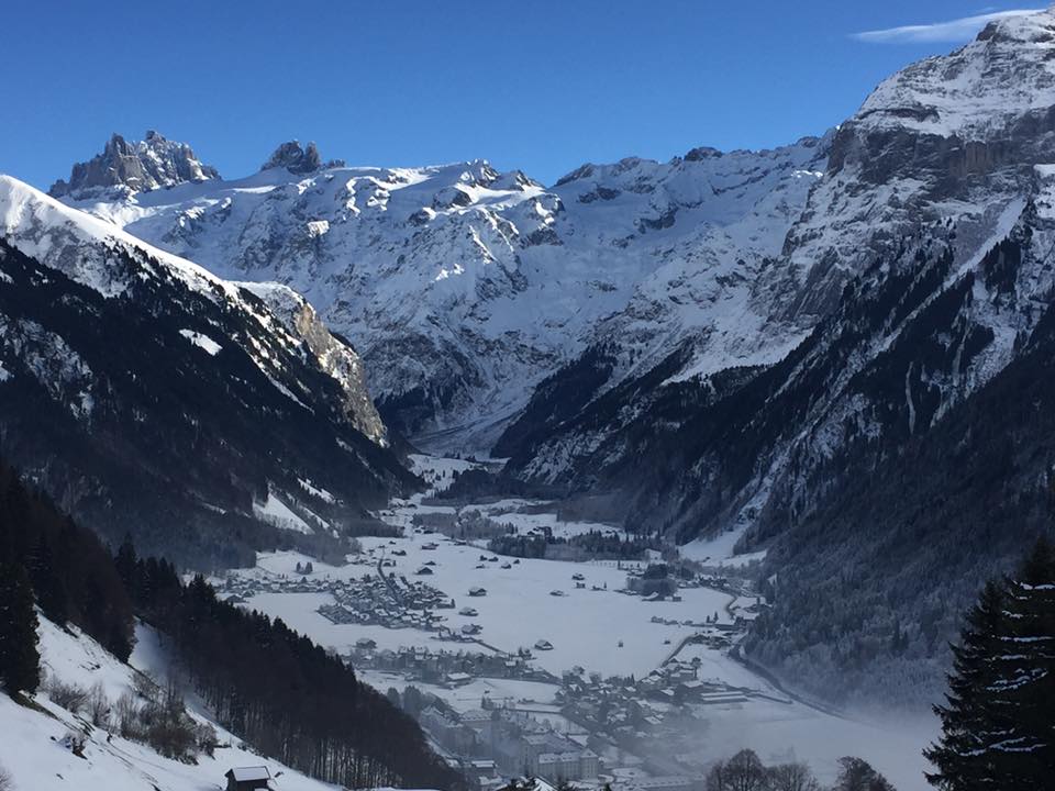 peakdate tweet picture
