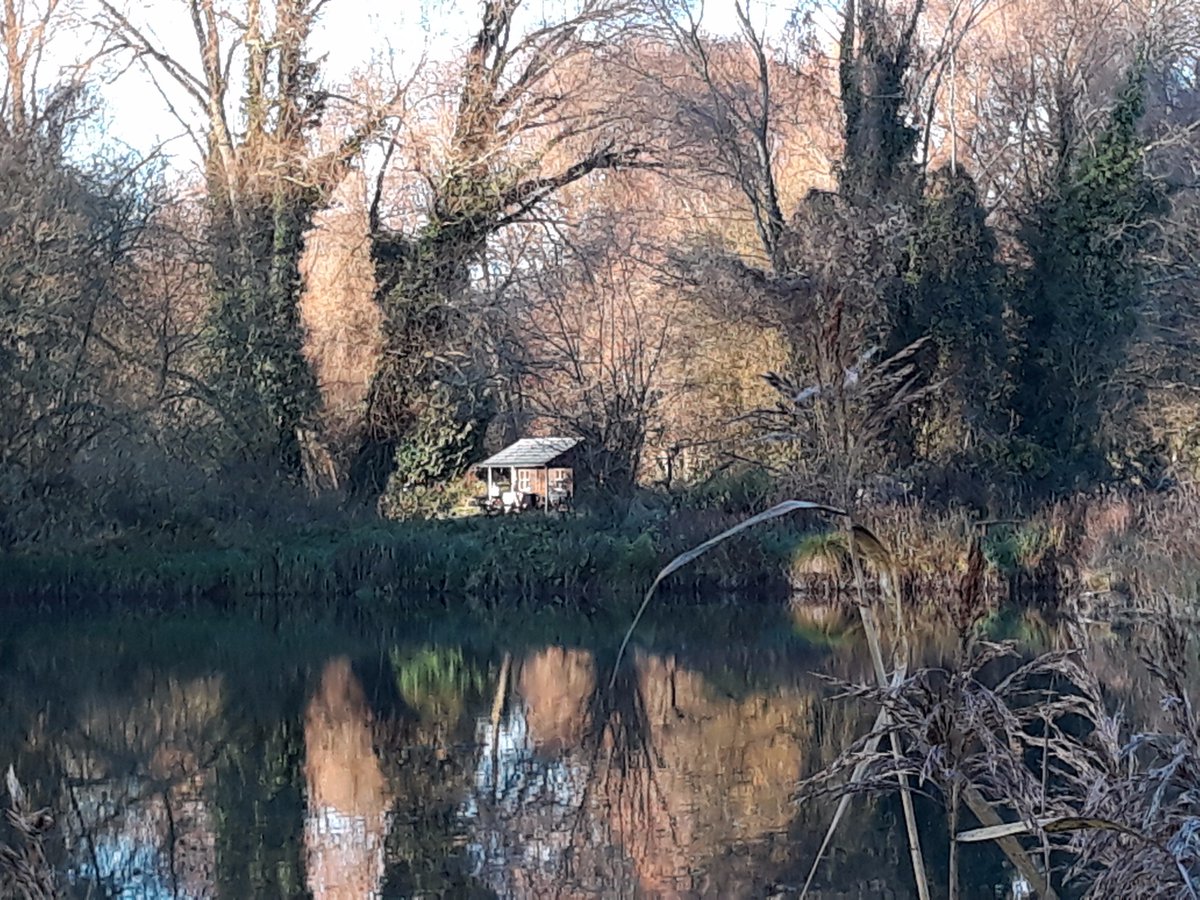 fishthetest's tweet photo. Delighted to have taken over the management of Pittleworth Trout Lake in the heart of the test valley with stunning views, crystal clear water and trout rising to the fly. Sheer bliss! https://t.co/YK0DxZHDAd