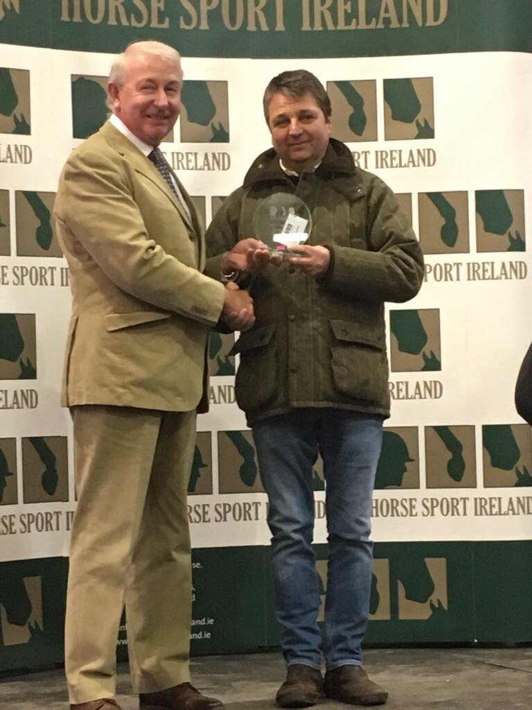 Irish Sport Horse tweet media