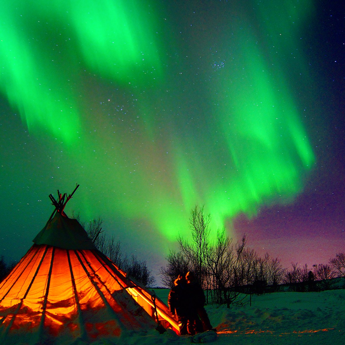 learn2nav's tweet photo. Any Plans for February? #Northernlights https://t.co/DUYJGtb8aV https://t.co/hfDRbvwhhN