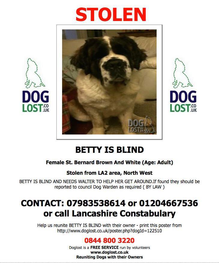 HunnyJax's tweet photo. 🙏@LancsPolice Is it poss for You to Tweet details of the despicable Theft of Betty &amp; Walter ? there's a 10K REWARD on offer - BLIND StBernard Betty must be Absolutely Terrified being aware from Familiar 'smells' animals &amp; people 💔
https://t.co/J5MJVVkqWC https://t.co/DHyVAZWmrR https://t.co/ZTp20chgyp