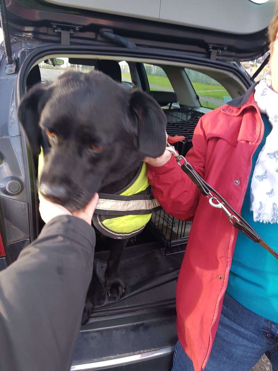 RuthDavidsonPC's tweet photo. If anyone has lost a black lab in the Durham Wynd area of Largo - red collar, no tag &amp; high vis jacket - he's been taken to Methil Police office. Please retweet. https://t.co/zjLR4CeLtM