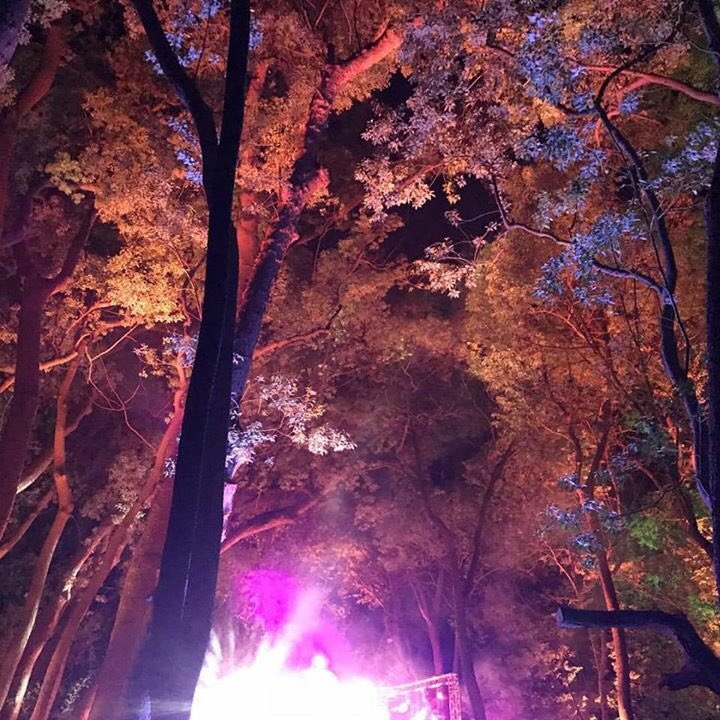 joelightboy's tweet photo. Electric Forrest in South Africa! Incredible the kinds of looks you can create with 16 @ChauvetDJ #Intimidator Hybrid 140SR LED fixtures and some well-placed mirror balls if you're JP Wilson of #UnfazedProductions. Sweet work! https://t.co/FK79NeZGvN