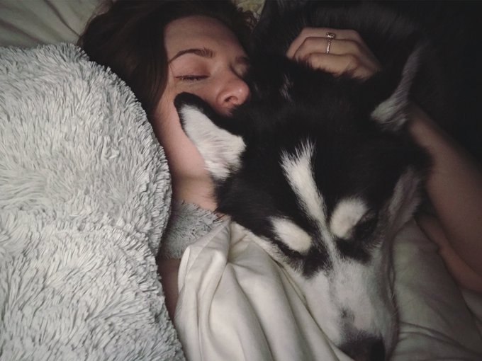 Bandit says wake up y&rsquo;all https://t.co/TB56GePB4o<a href="/tag/periscope"class="tags"><span>#periscope</span></a>