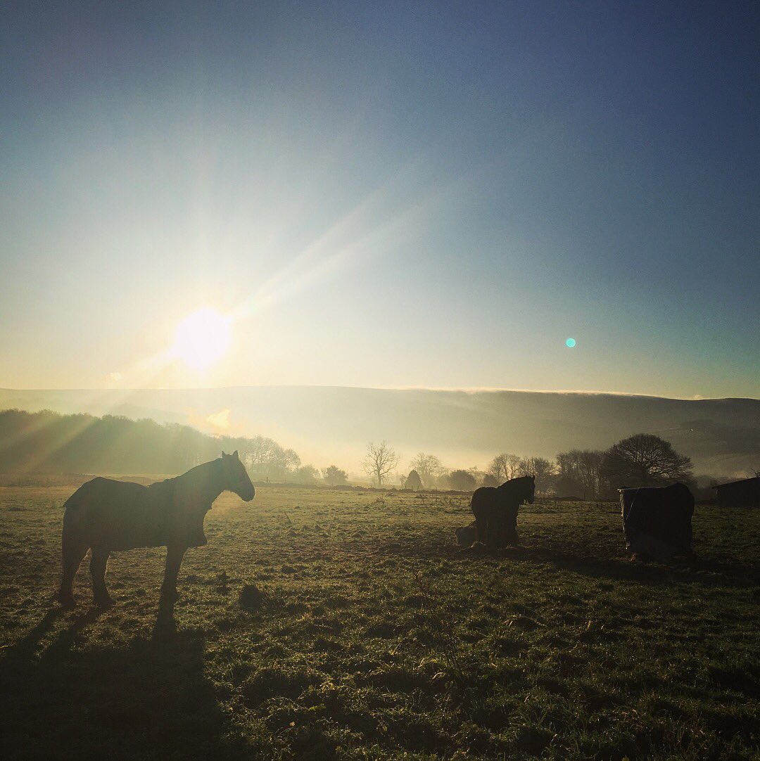 NaylorFay's tweet photo. Misty morning in the Peak District #horses #morning #sunrise https://t.co/mu6rZN3YJD