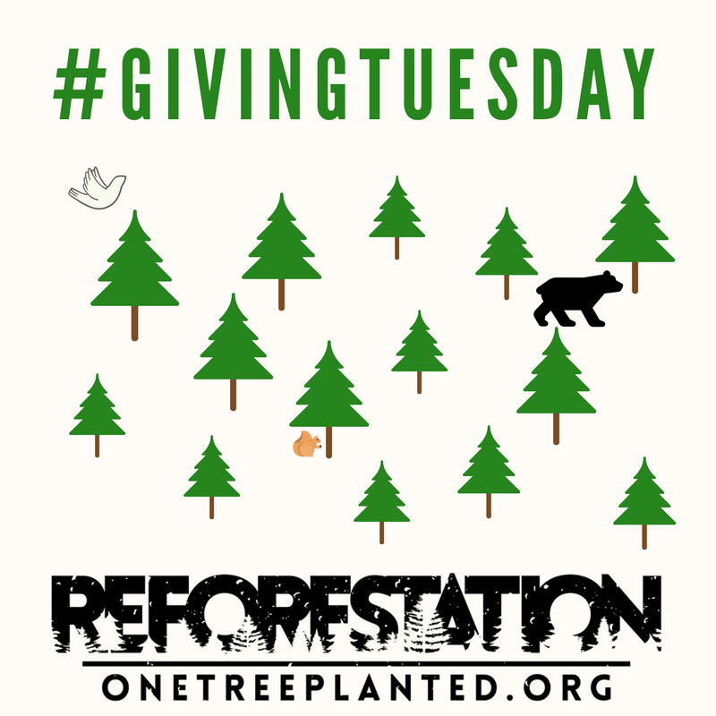 onetreeplanted's tweet photo. Not only is it #GivingTuesday, but it happens to be a great time to donate for #reforestation because we're preparing for spring 2018 already! More donations now = more trees planted within the next few months. Every tree matters 🌲🌲🌲
https://t.co/cQjH3tGvOh https://t.co/5SXWUHPTlT