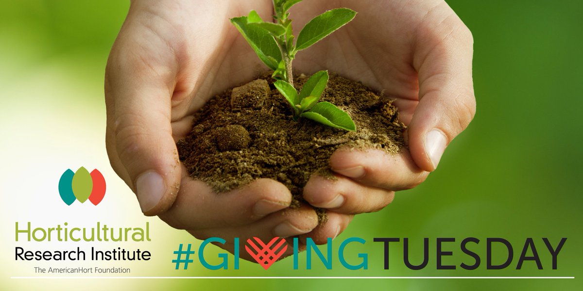 AmNurseryman's tweet photo. Today is #GivingTuesday! From disease management to mechanization, @HortResearch-funded research programs have contributed to the success of individual companies and the industry as a whole. Donate today: https://t.co/Zf7CZevqEe #SupportHRI #HortResearch https://t.co/PngfpfblKu