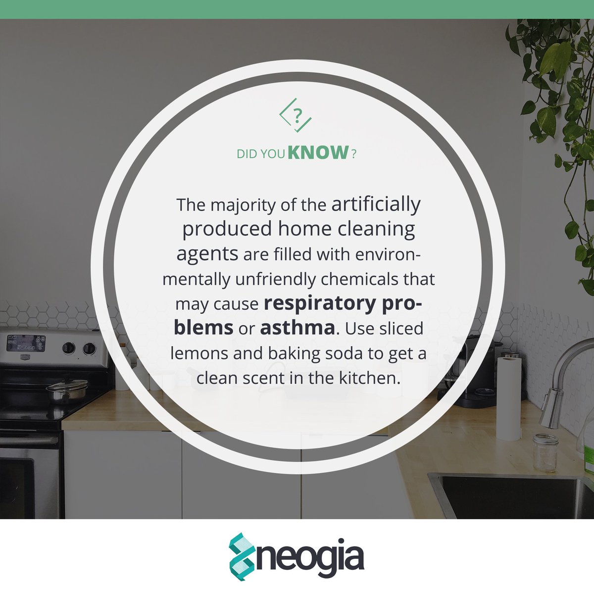 NeogiaTech's tweet photo. Today's modern home is loaded with toxic and polluting substances.
For many home-cleaning chores, you can make your own cleaning products.
#environment #DIY 
#NeogiaTech https://t.co/5XHmnOZZ64