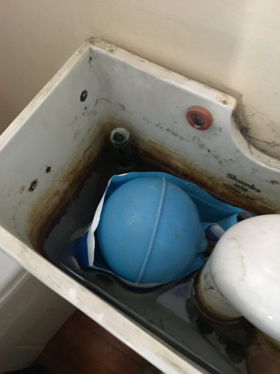 Eco Group installed Hippos in the school cisterns this morning! #SaveWater @EcoSchoolsScot