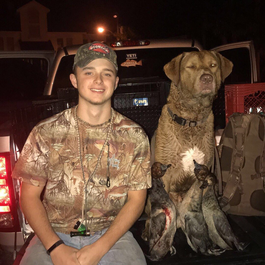 trev243's tweet image. 🦆